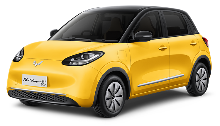New BinguoEV Lite